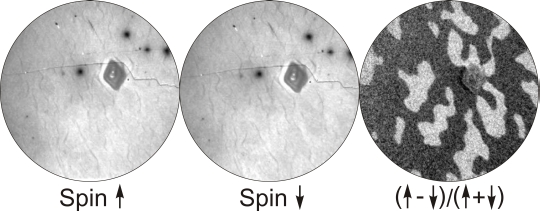 LEEM-BF-Magnetic_med