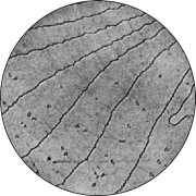 LEEM-BF-StepSi111_5um_45eV